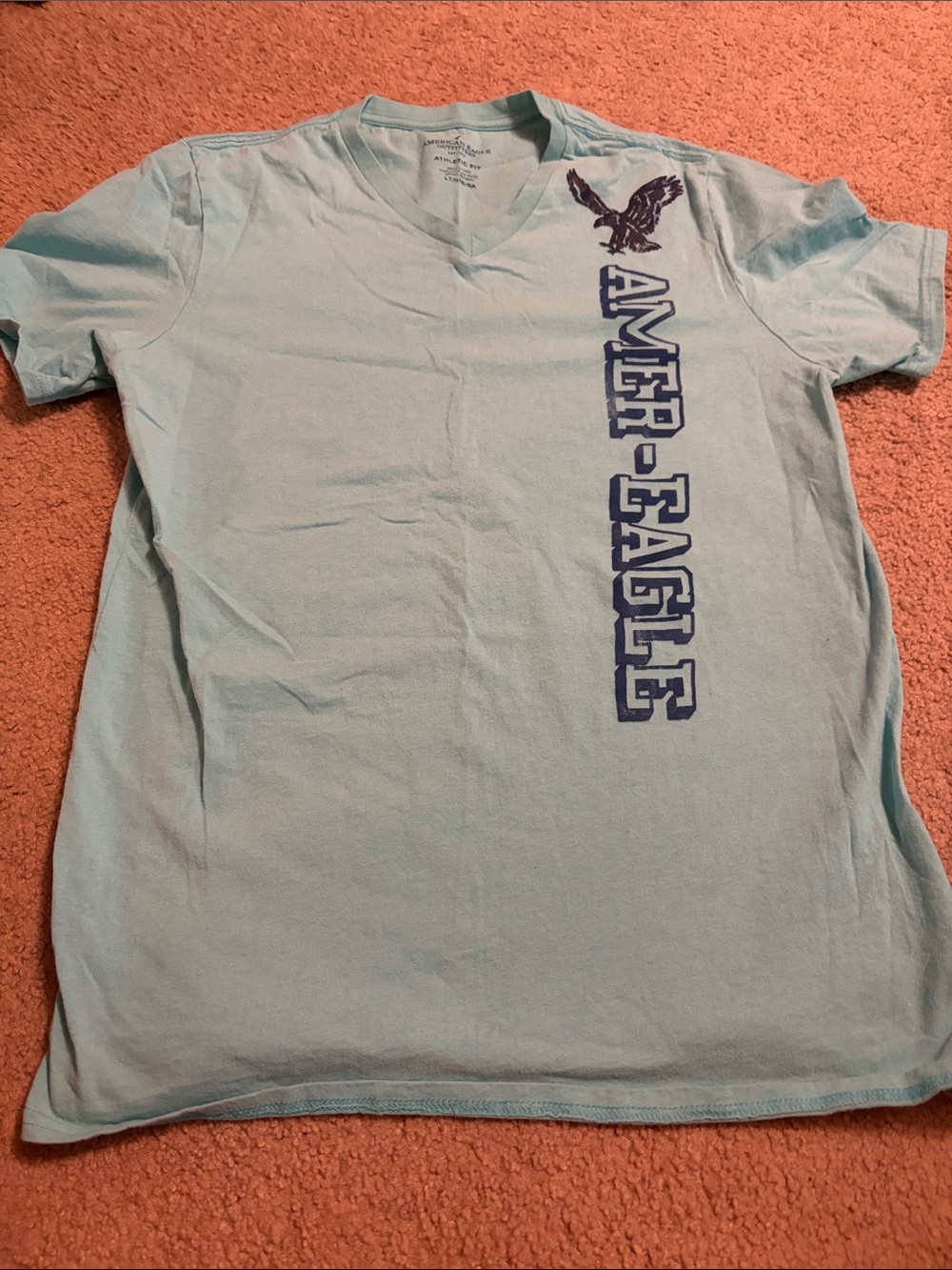 American Eagle Outfitters Light Aqua V-Neck Tee with Navy Graphic